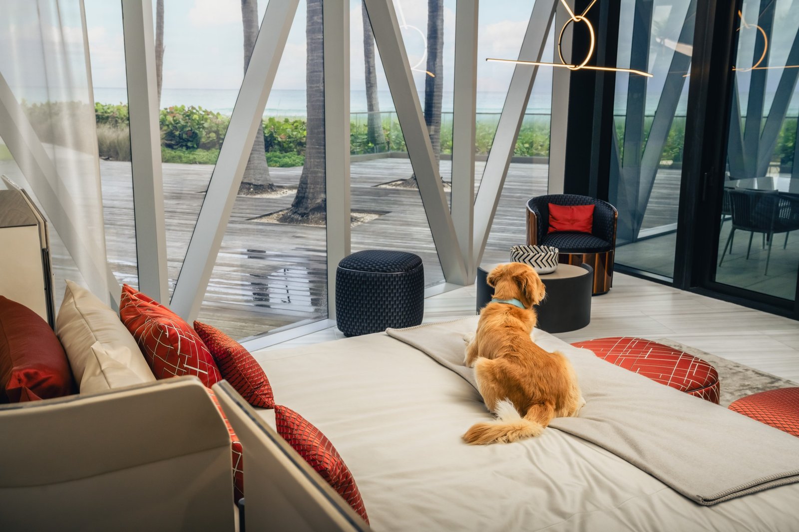 Bentley Residences pet spa