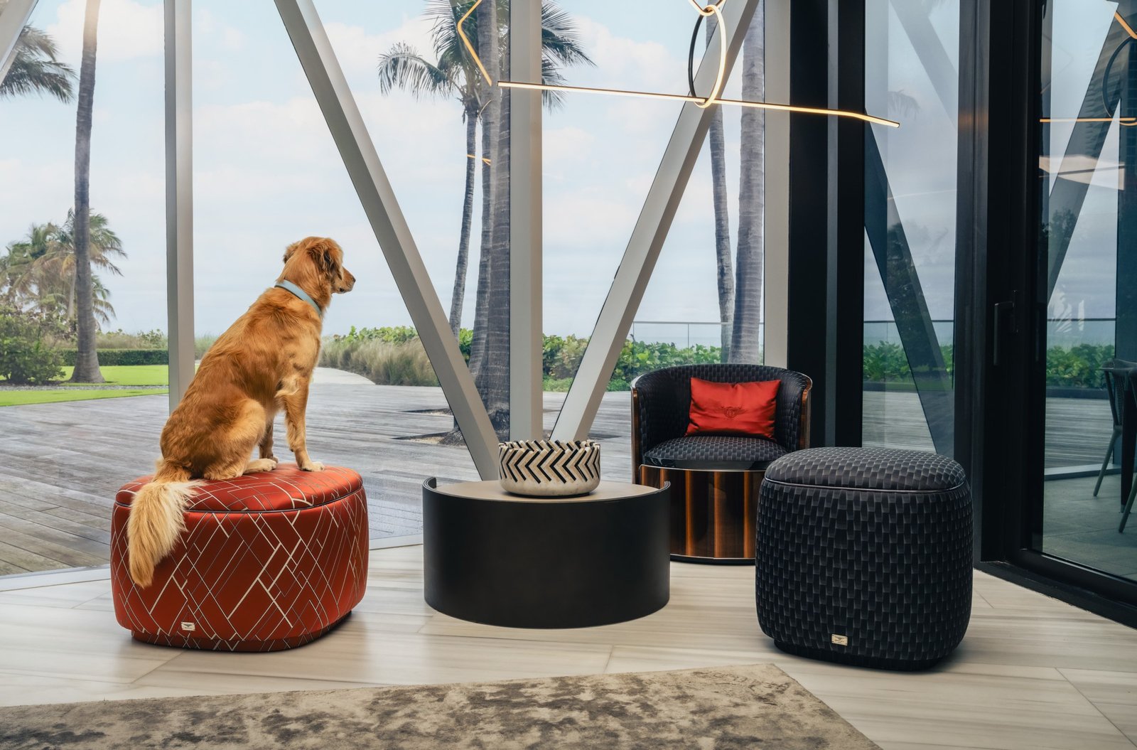Bentley Residences pet spa